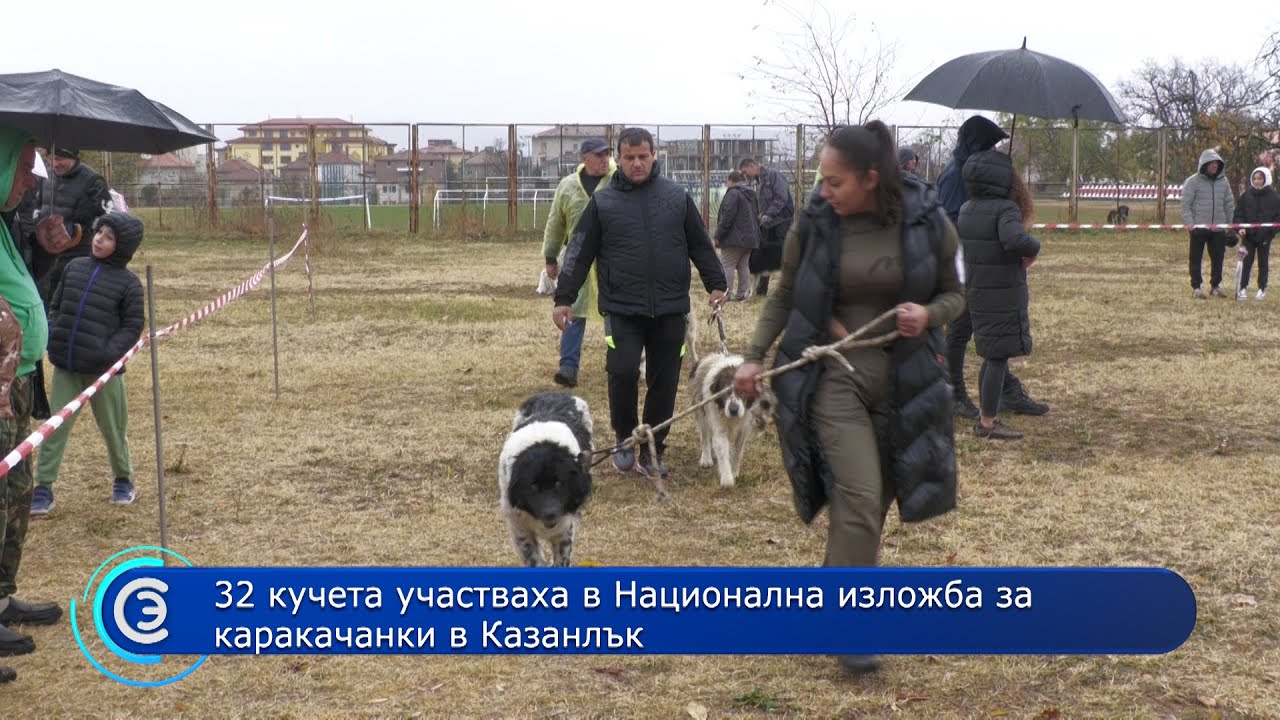 14.11.2022 - 32 кучета участваха в Национална изложба за каракачанки в Казанлък
