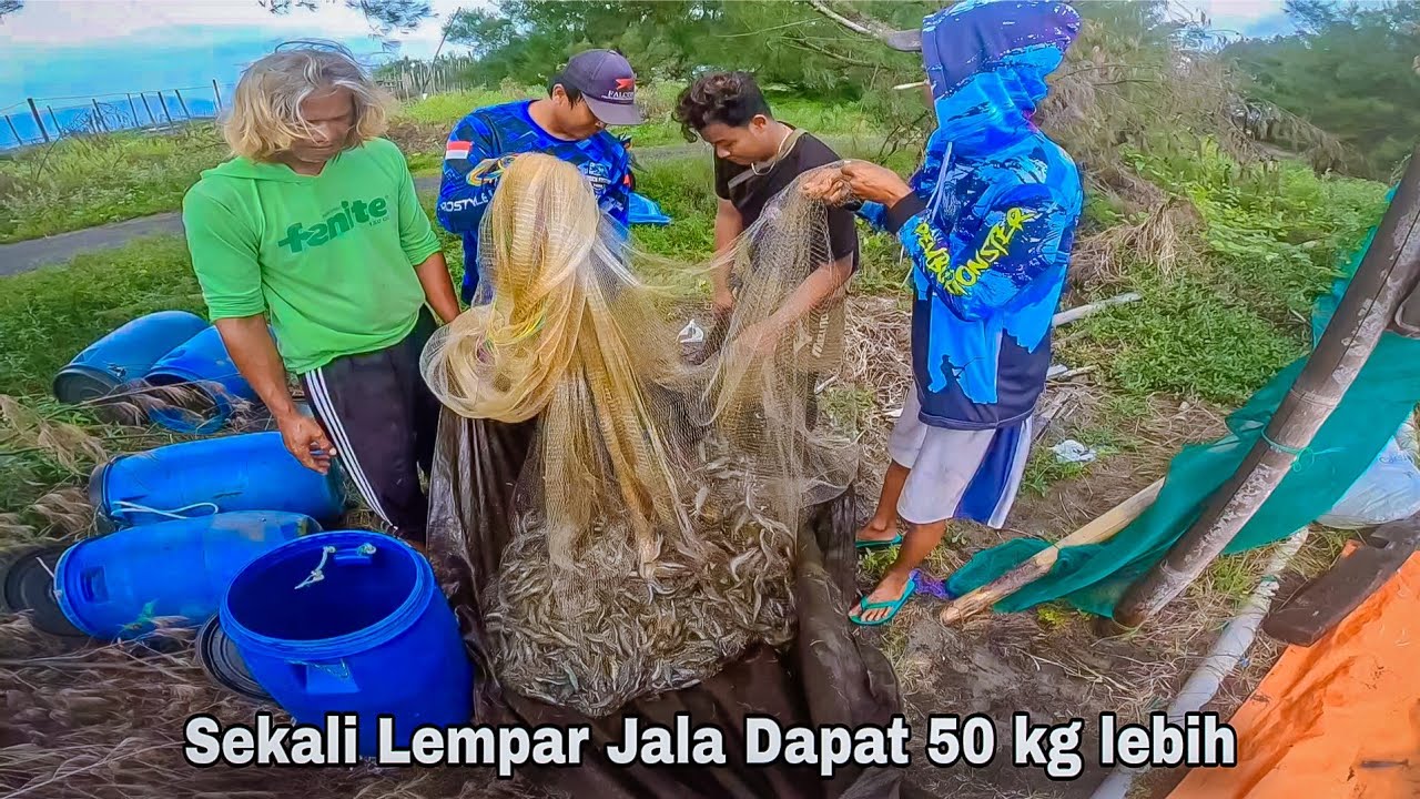 Sekali lempar jala dapat 50 kg lebih  