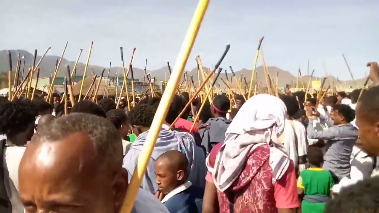 #cat #new #ethiopia #trending #timket