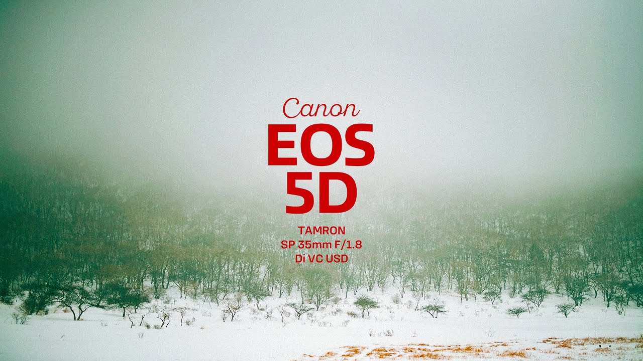 【オールドデジタルの美しき世界】Canon EOS 5D + TAMRON SP 35mm F/1.8 Di VC USD vol.3
