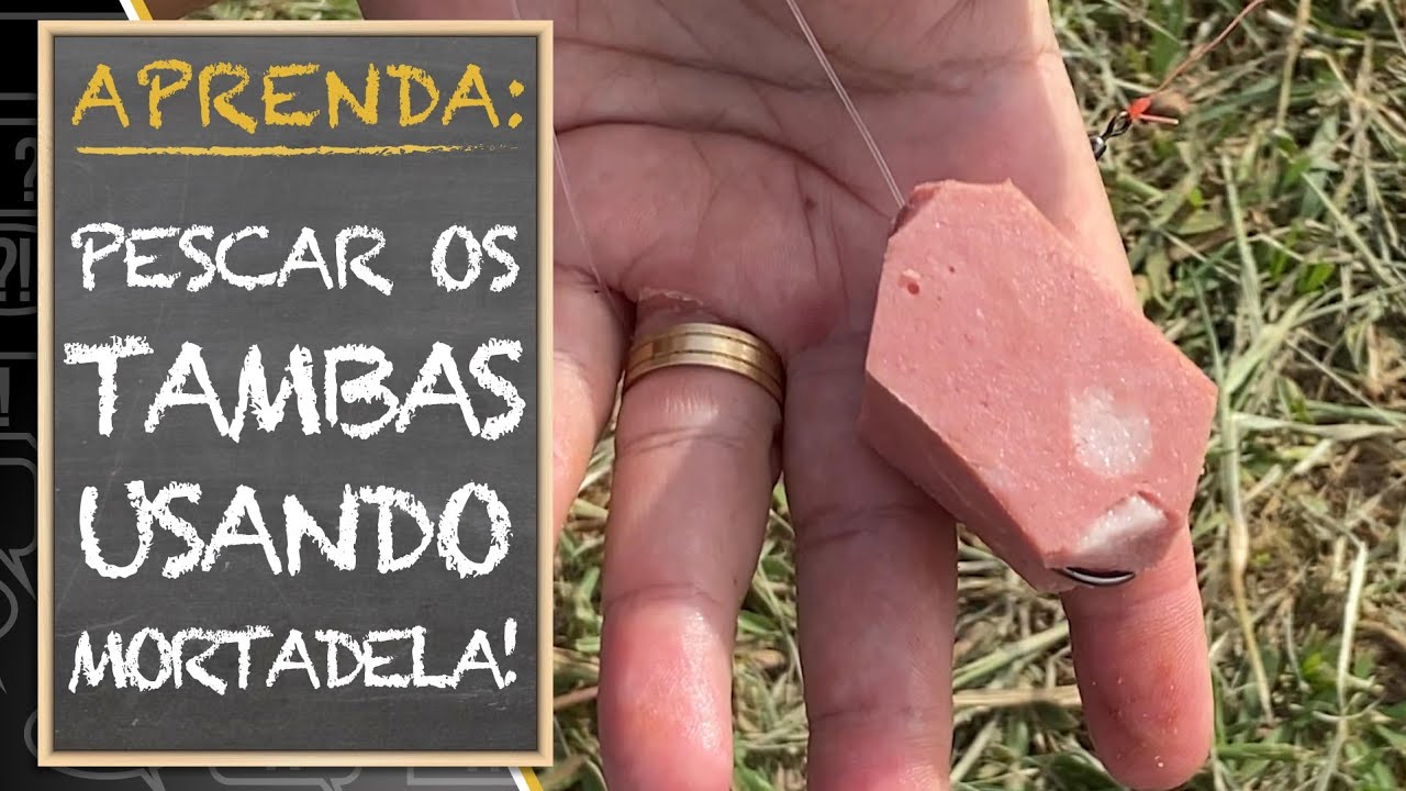 APRENDA: PESCAR OS TAMBAS USANDO MORTADELA!!!