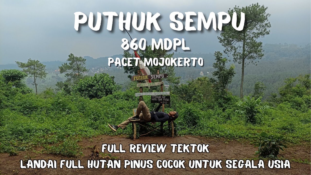PUTHUK SEMPU 860 MDPL PACET FULL REVIEW | PALING COCOK UNTUK PEMULA 2025 GASKAAN ❗