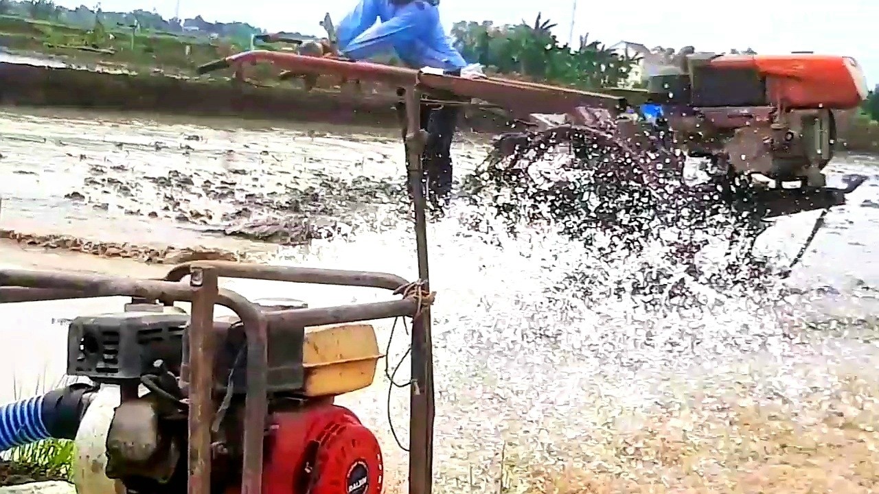 Diesel Air Sawah! Setelah Disingkal Traktor Sawah Langsung Garu Lahan