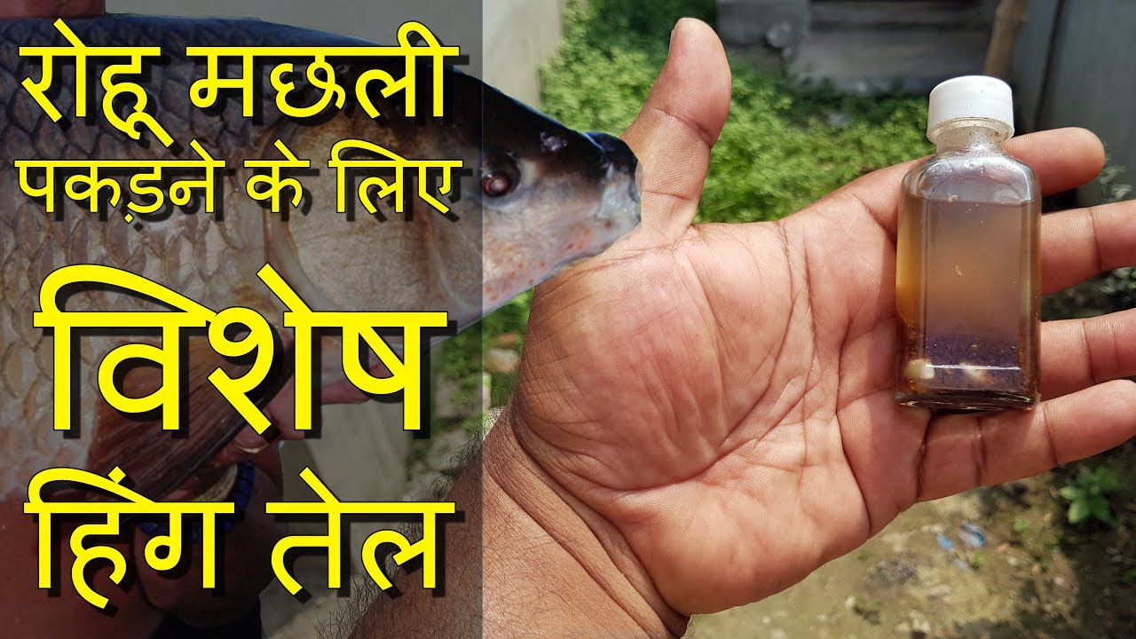 Amzing Primitive Hing Oil For Rohu Catla DIY Fishing