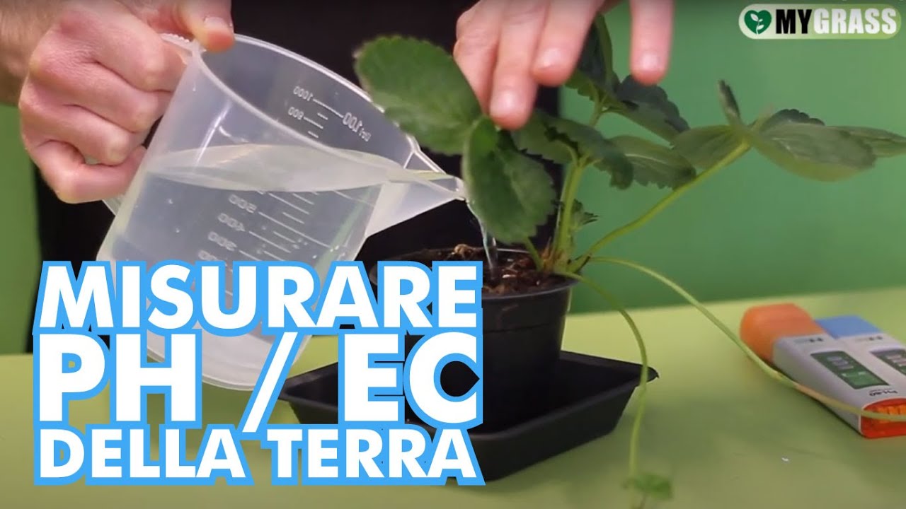 Sub ENG - Vuoi sapere il PH e l'EC della tua terra? Scopri come fare!