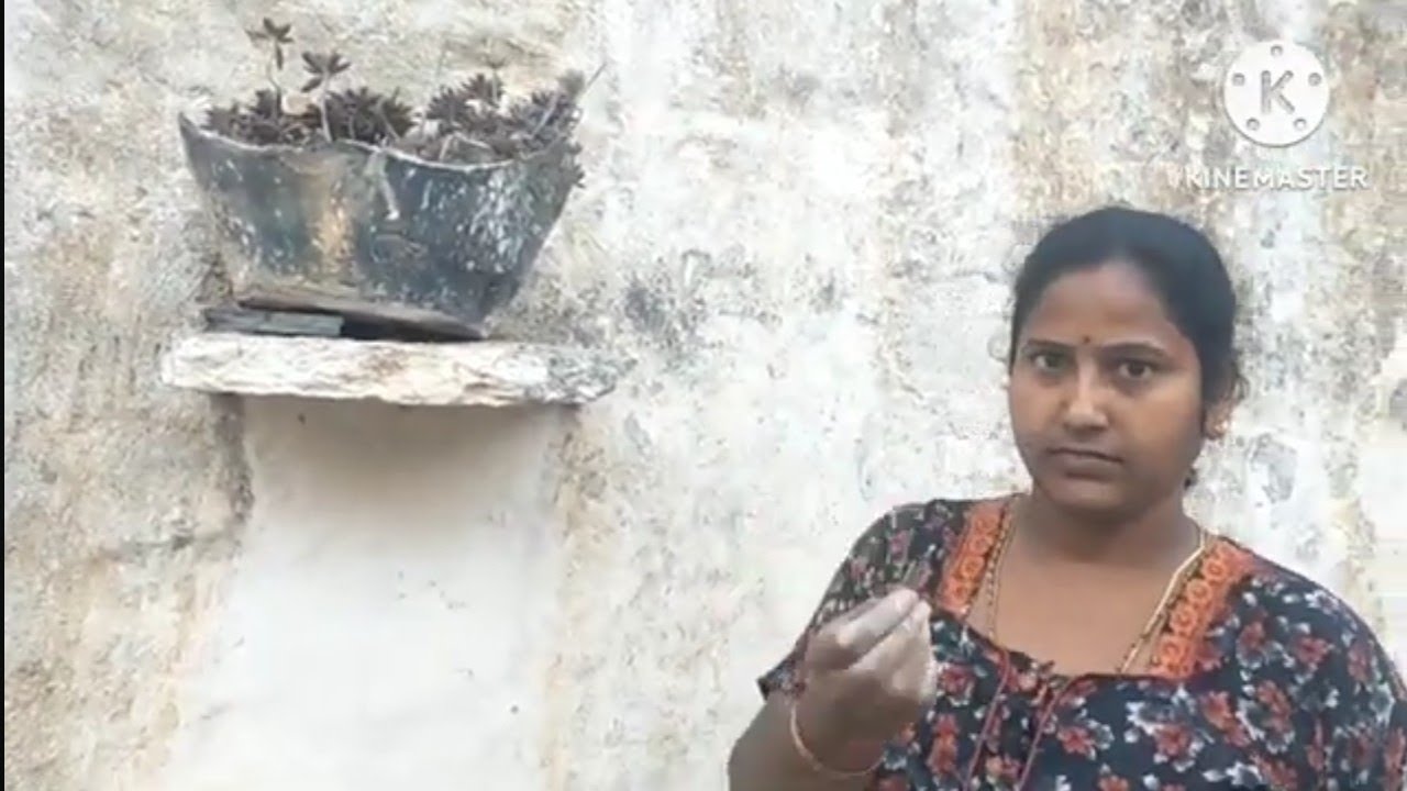 నేను