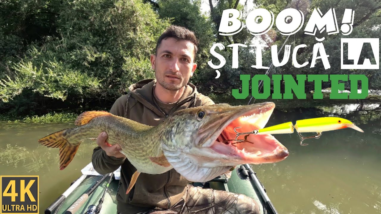 Am testat #Rapala Jointed 13 cm și SSR – #Știuca nu a rezistat! #Pescuit #spinning #wobler #fishing