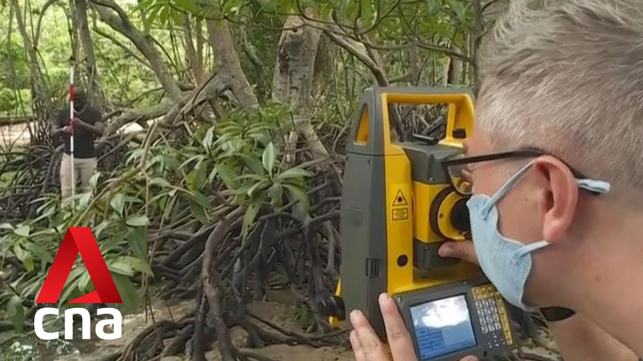 Investment in nature can be a new asset class, if properly structured: DPM Heng
