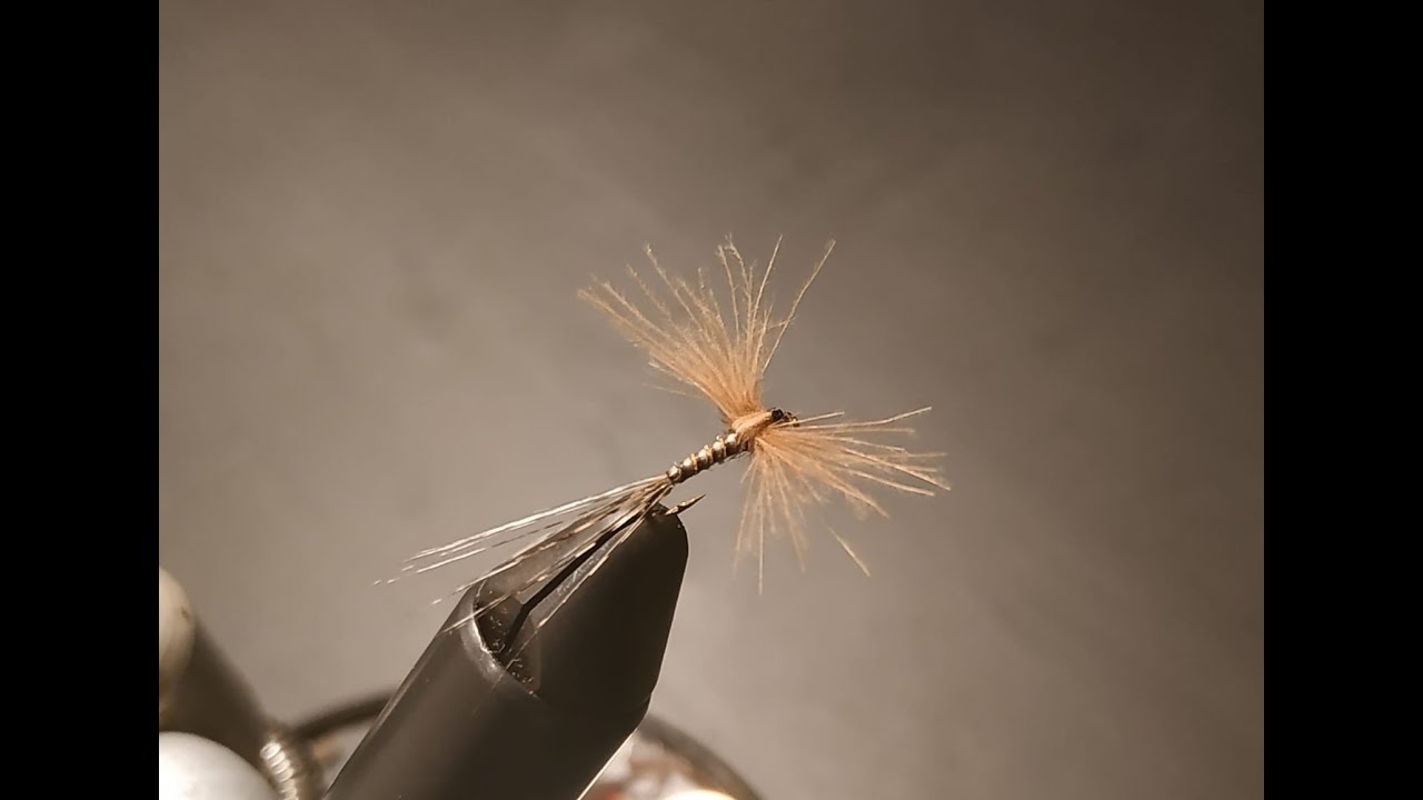 Costruzione in cdc Spent Effimera - dry fly tying - Tyier  P. Lucchini -