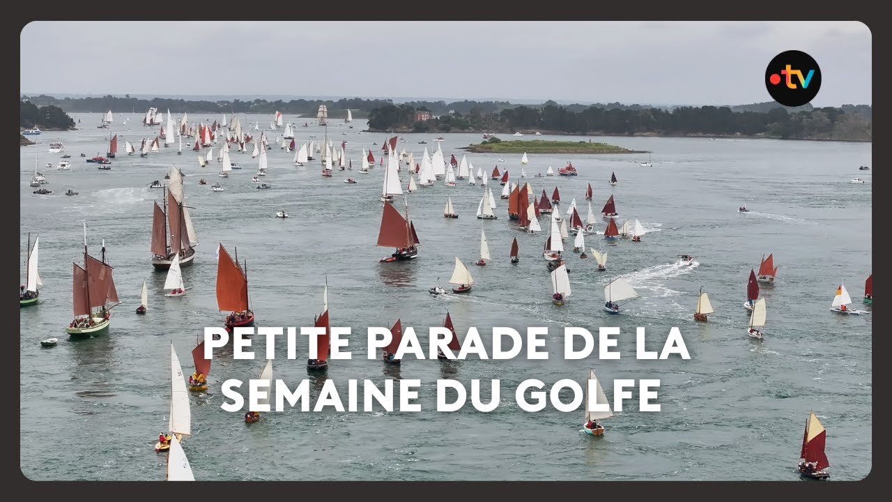 Petite Parade d'ouverture de la semaine du Golfe 2025 : des centaines de voiliers sur l'eau
