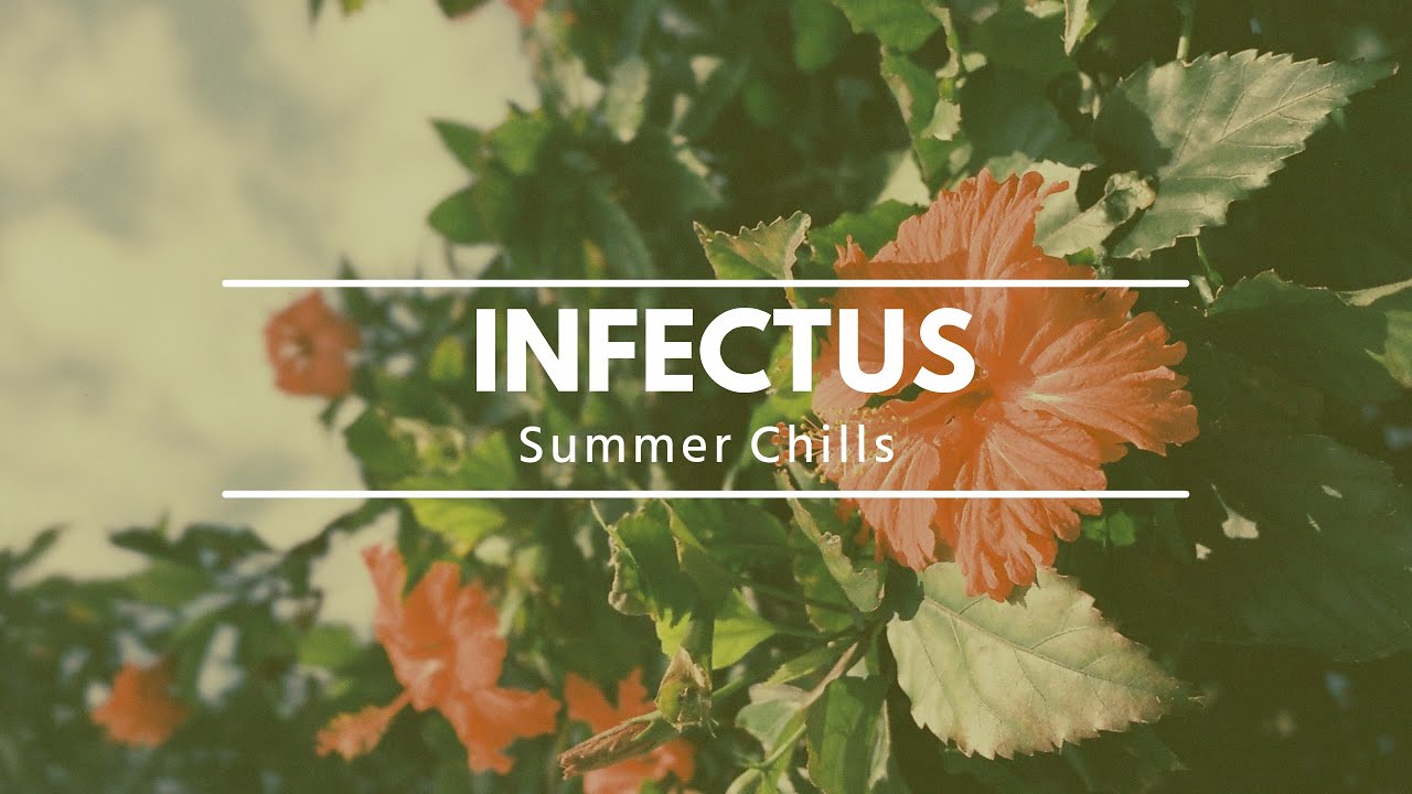 Infectus - Summer Chills
