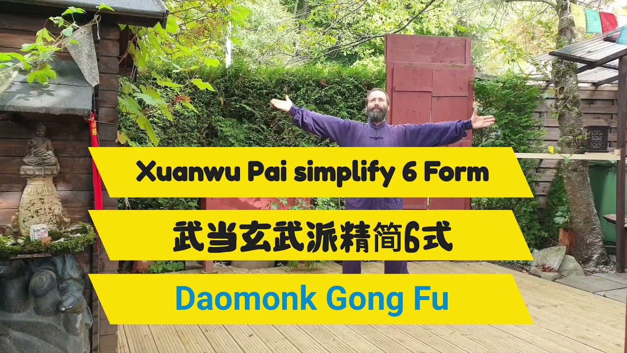 Wudang Xuan Wu Pai Simplify 6 Form - Bern