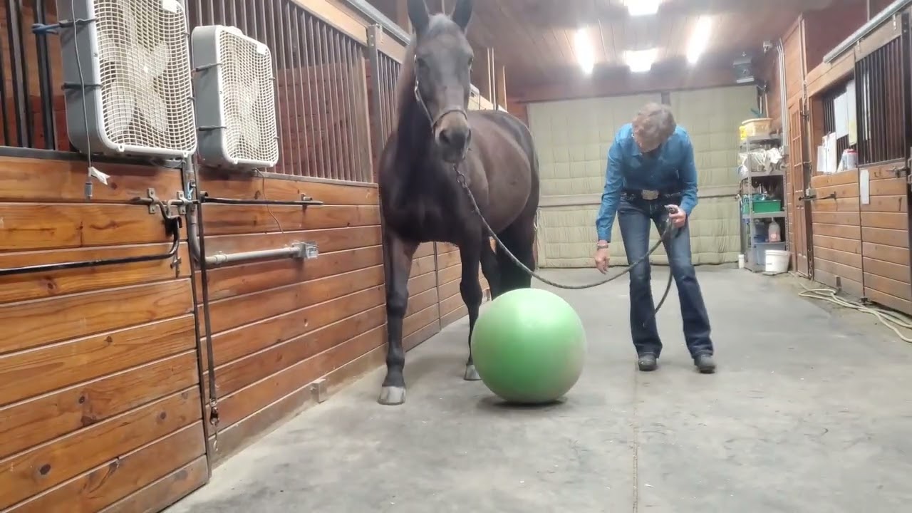 Snow Daze Yoga Ball