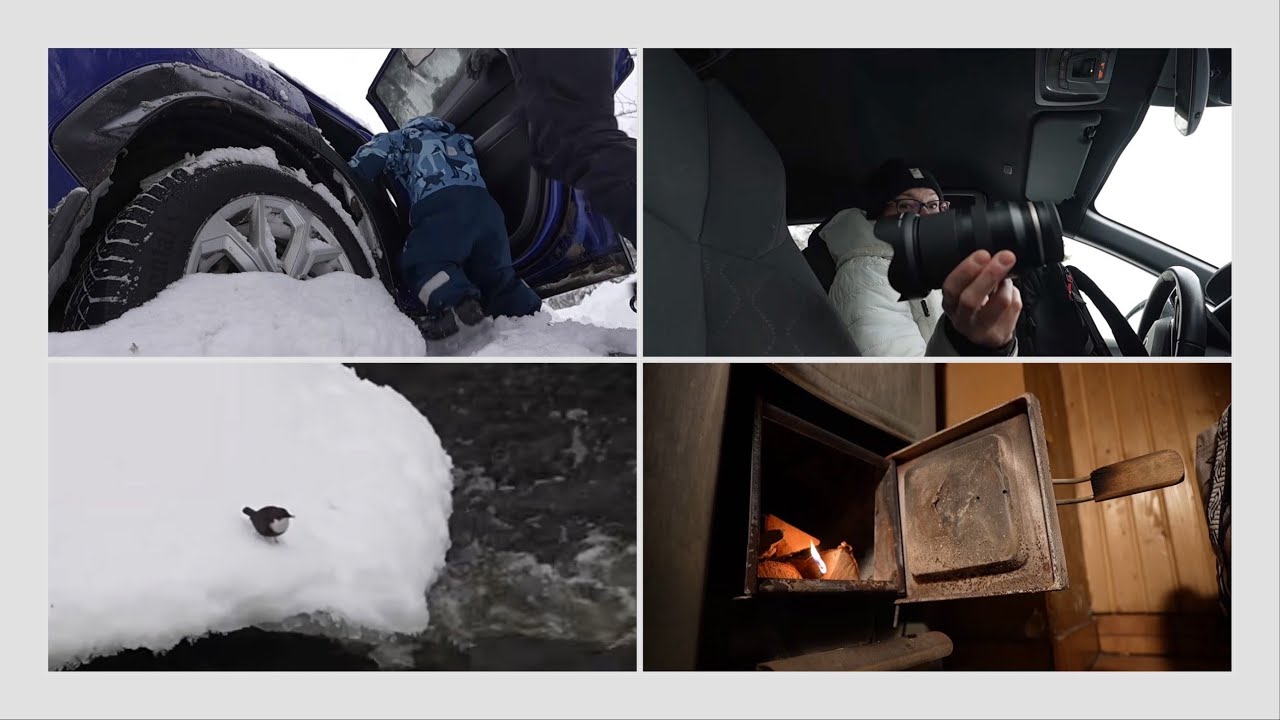 Johan tuli leiville nimi 🤭 | Kappas, Norjan kansallislintu ❄️🇳🇴