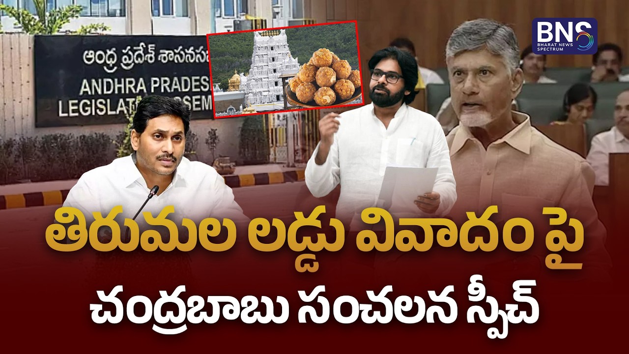 తిరుమల లడ్డు వివాదం పై చంద్రబాబు సంచలన స్పీచ్ | Chandrababu Speech On Tirumala Laddu  | BNS MEDIA