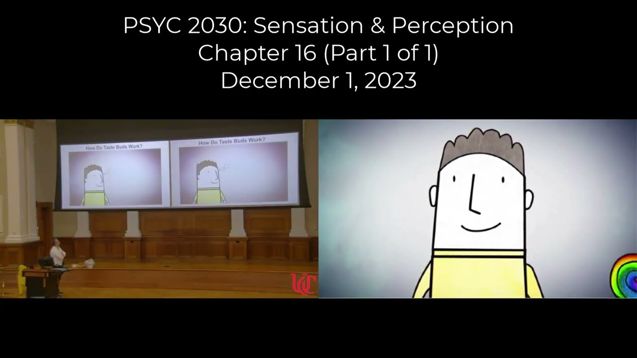 PSYC 2030 Глава 16 (Часть 1 из 1)