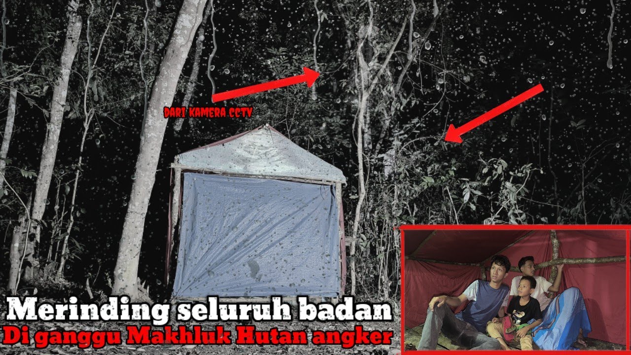 Camping di guyur hujan deras merinding melihat makhluk di hutan angker menampakkan sosok nya