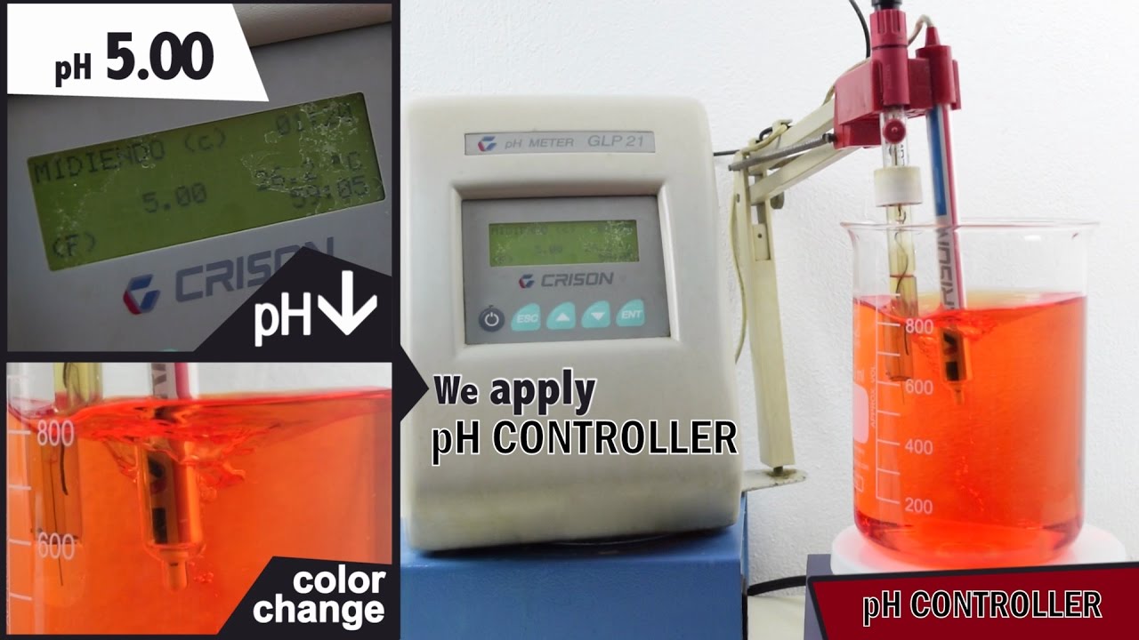 How to control pH level with pH Controller | Agroindustrial Kimitec