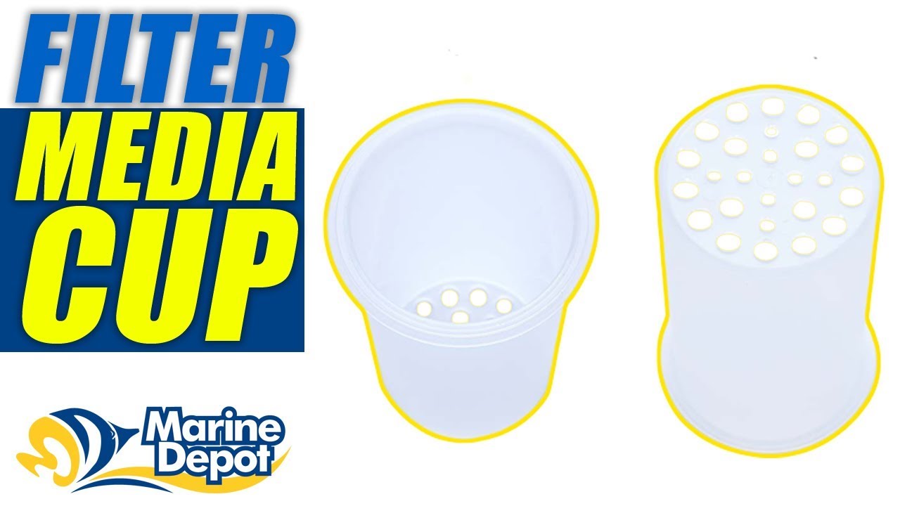 Filter Media Cup: What YOU Need to Know