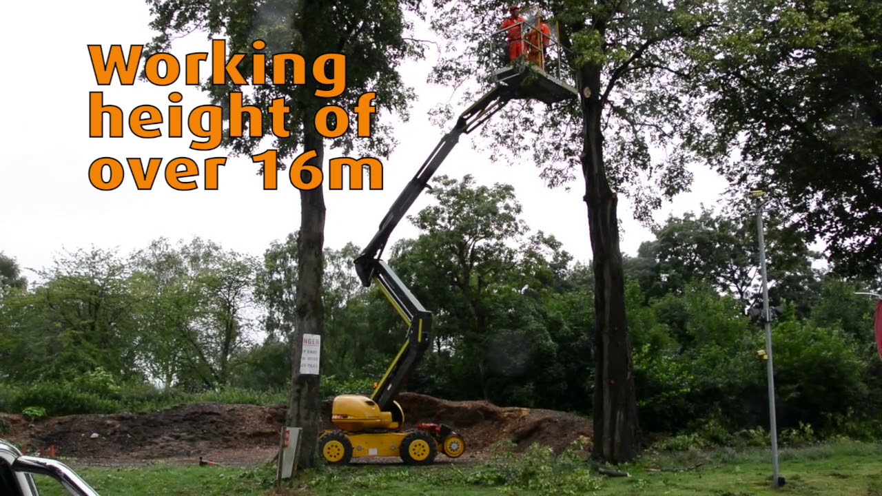 Torrent Trackside MEWP Network Rail Tree Cutting