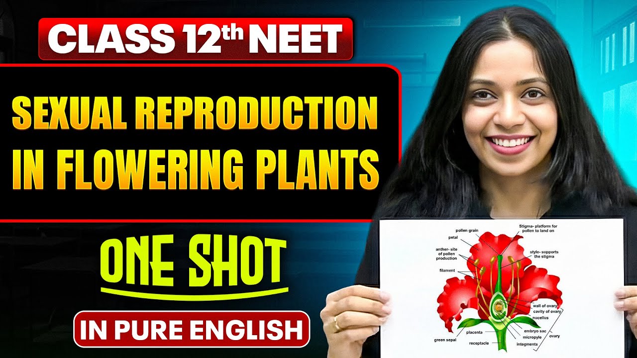 SEXUAL REPRODUCTION IN FLOWERING PLANTS | Class 12th ONE SHOT | Complete NEET Botany in Pure English