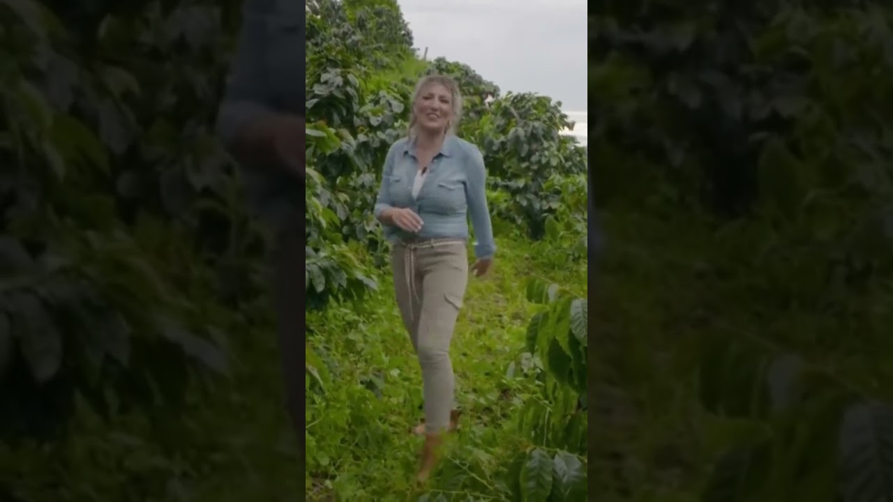 C&oacute;mo se cultiva el #cafe de #Colombia?