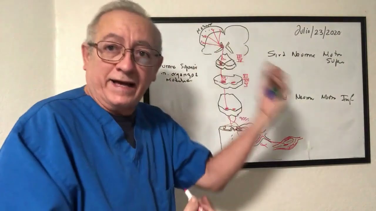 Signos neurológicos del Sind. neurona  motora superior e inferior  Signos de focalizacion