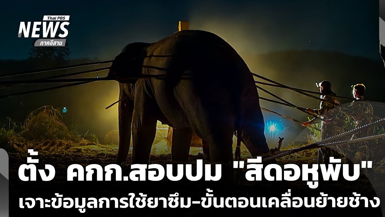 ตั้ง คกก.สอบปม 