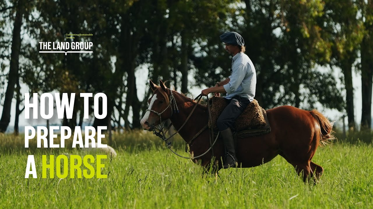 How do we prepare a horse for the field? - The Land Group