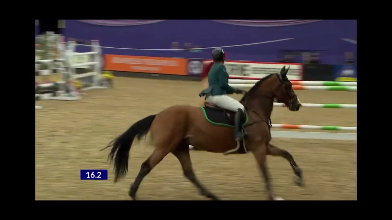 HOYS 2023 Talent Seekers