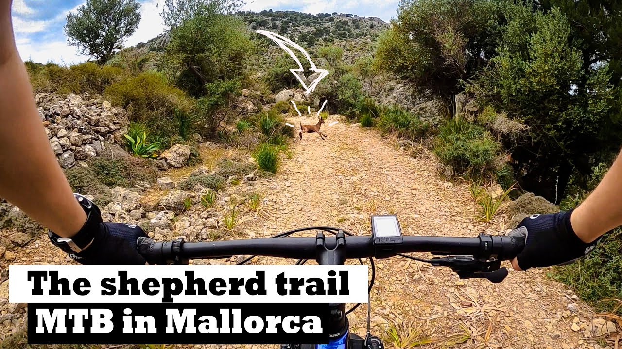 Mallorca mountain bike trail: your next MTB destination! (4k)