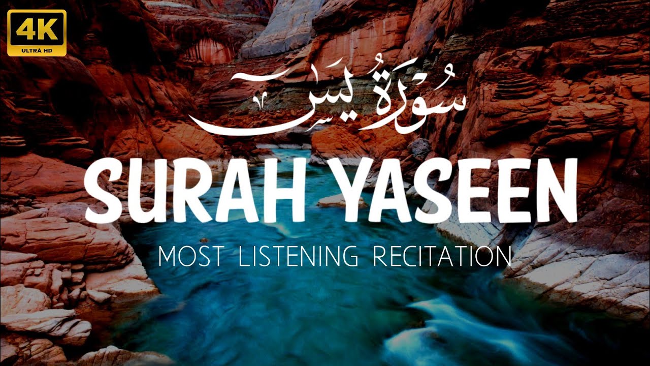 Surah Yaseen Tilawat by Sheikh Mishari Rashid Alafasy | Heart-Touching Quran Recitation | Ep 008