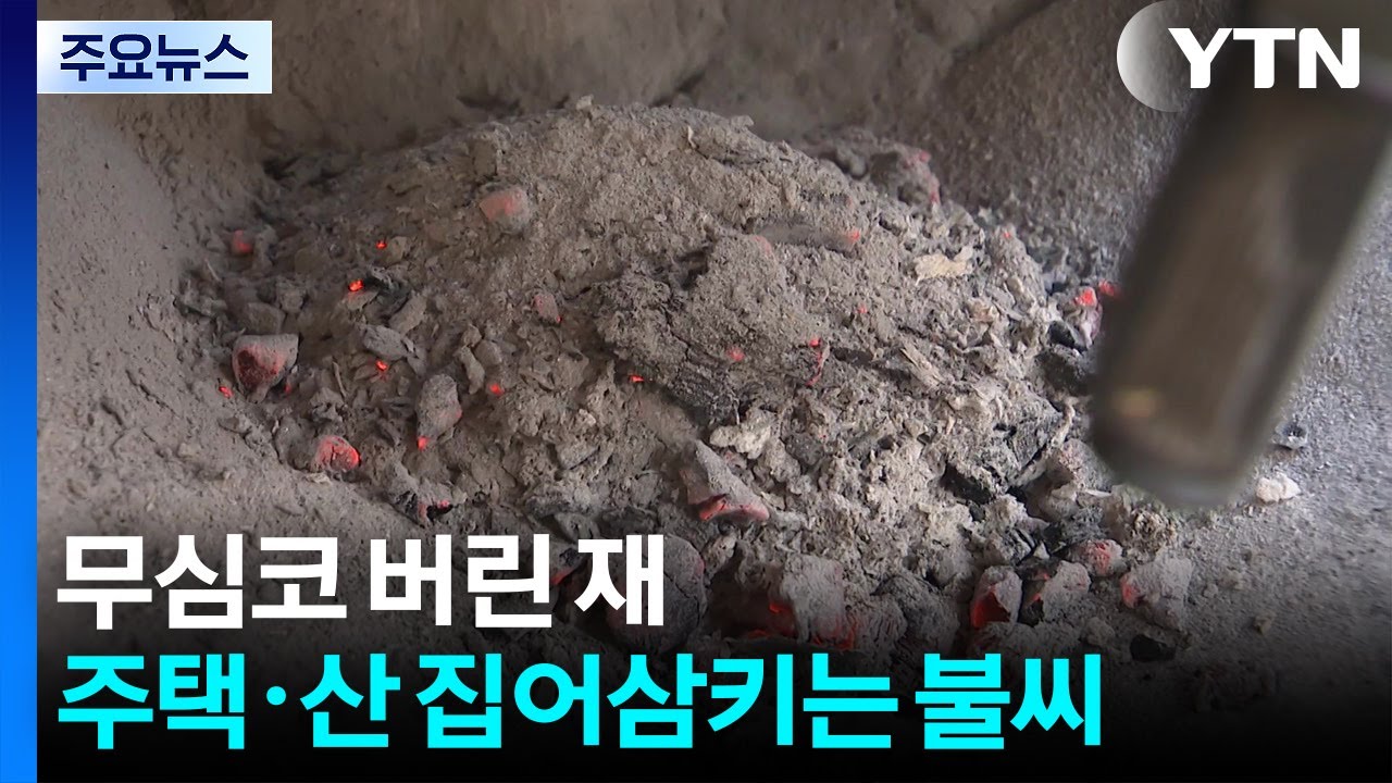 무심코 버린 재, 주택·산 집어삼키는 불씨 / YTN
