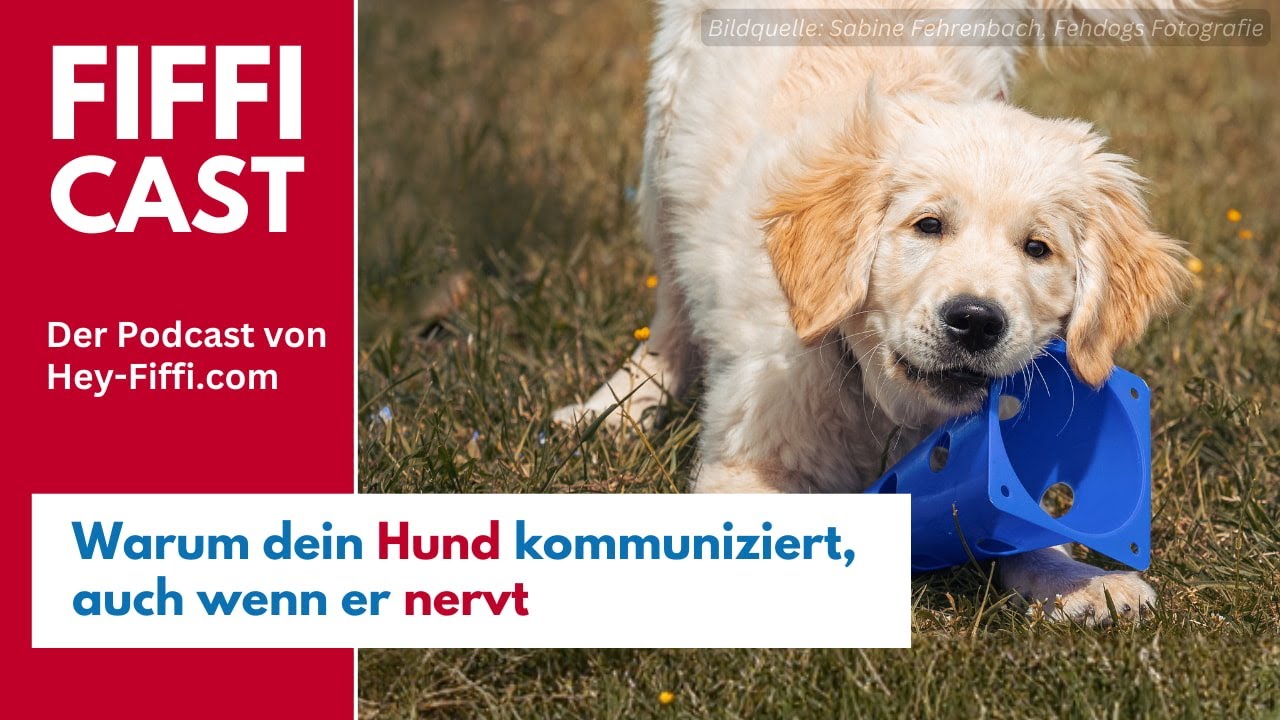 Warum dein Hund kommuniziert, auch wenn er nervt