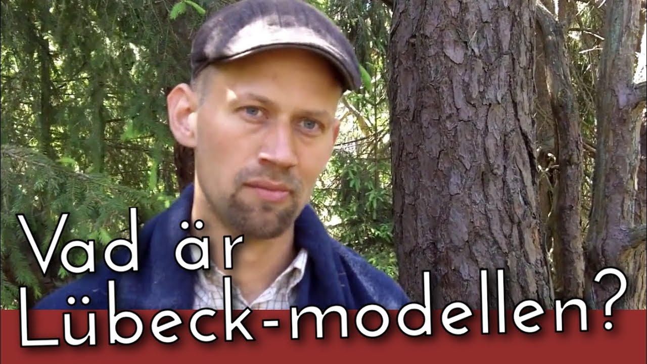 Lübeckmodellen - Vad är det?