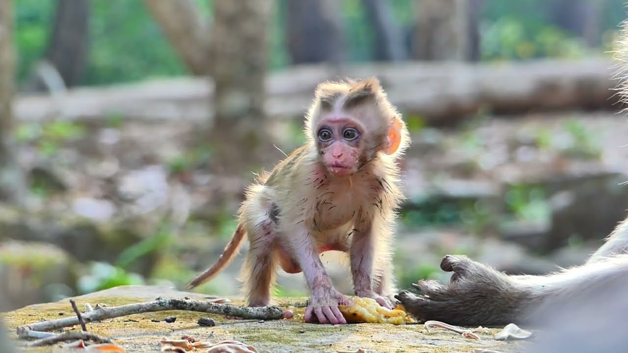 Boris today is better ! But mom Brianna negligencee in care, Baby nearly f@lling