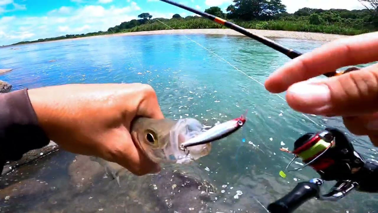 un buen dia de pesca con ultralight en solo 10 min, Disfruten😁.