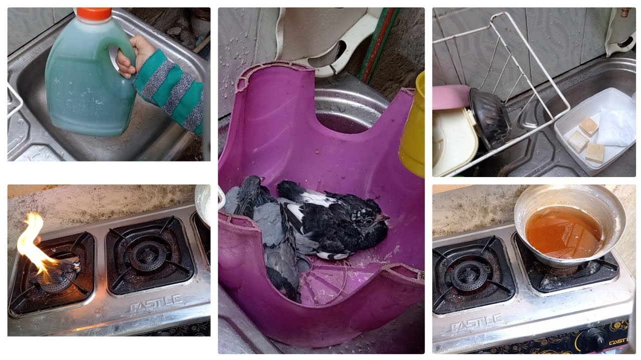  يا ست الكل خليكي زي لميس… وشوفي التاجر عمل إيه؟ 