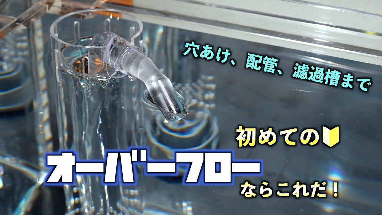 【初挑戦】アクリル水槽を三重管オーバーフロー化！水槽の穴開け、意外と簡単？