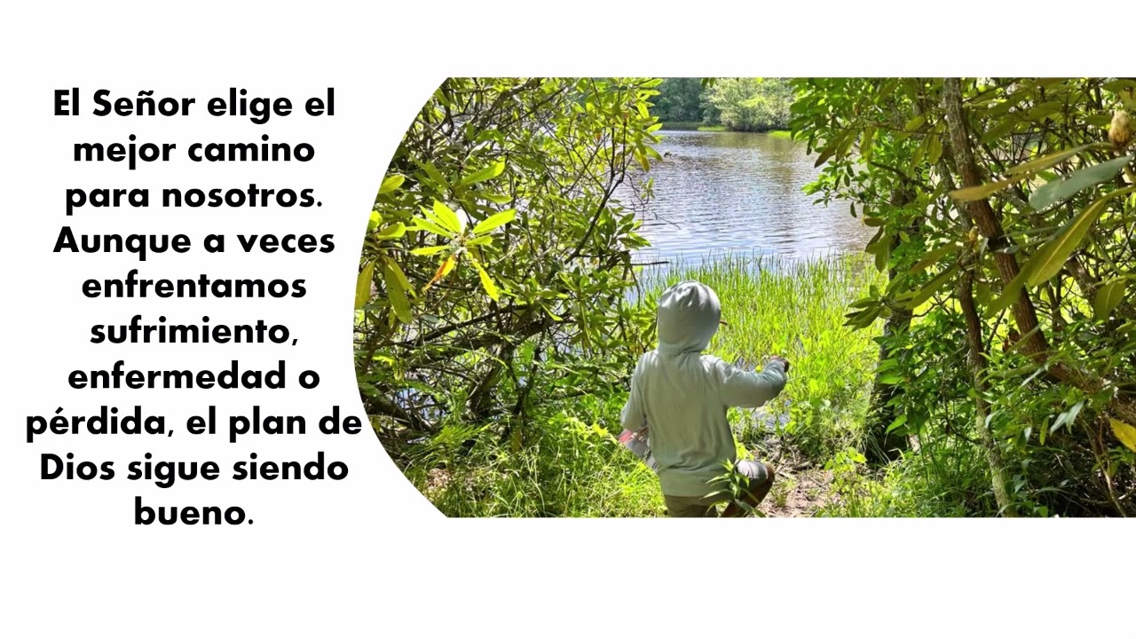 Caminar con Dios - El Sendero Seguro hacia la Vida Plena