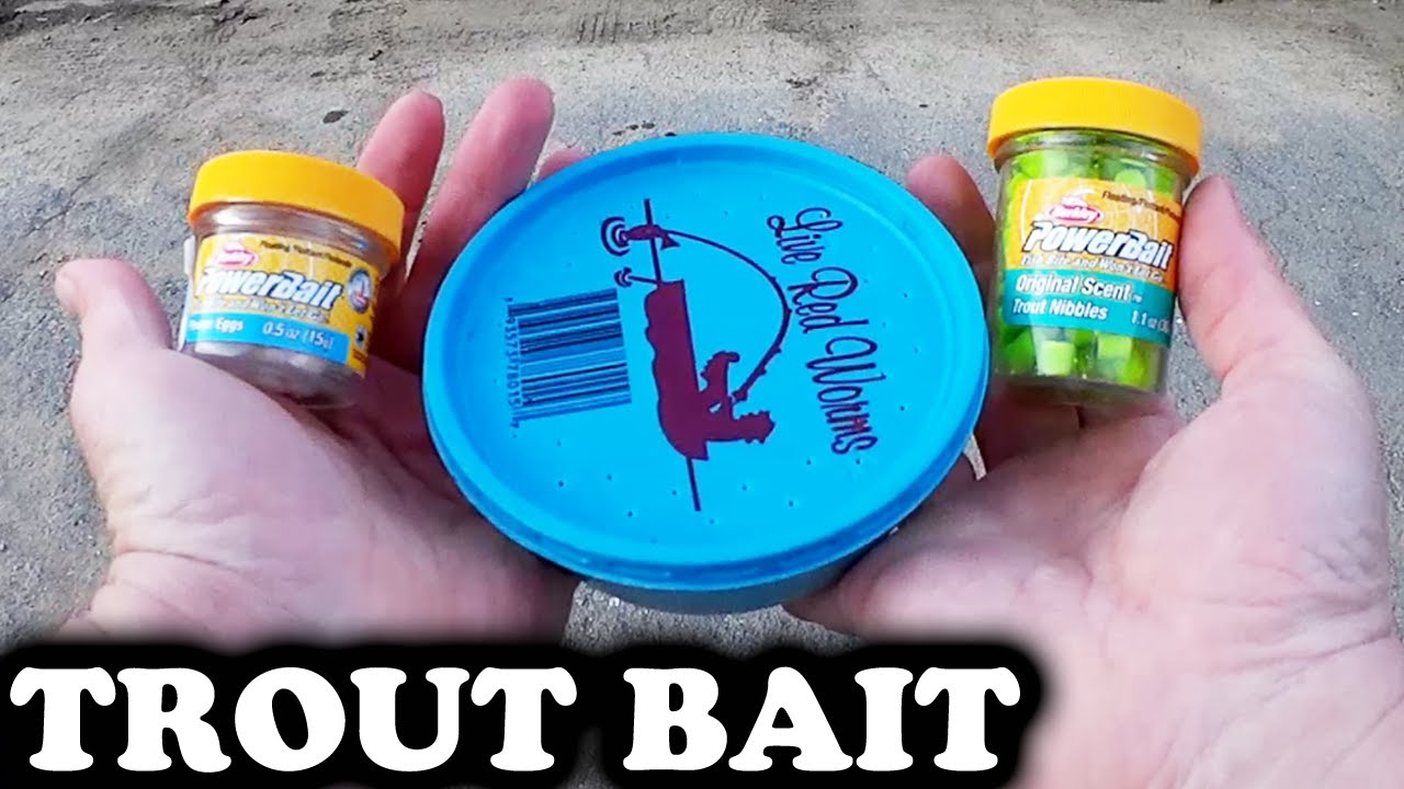 Which Trout Baits Catch Fish? Trout Fishing with Worms and PowerBait