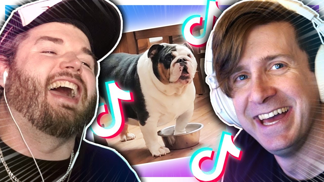 More hilarious animal TikToks that made us howl like dogs