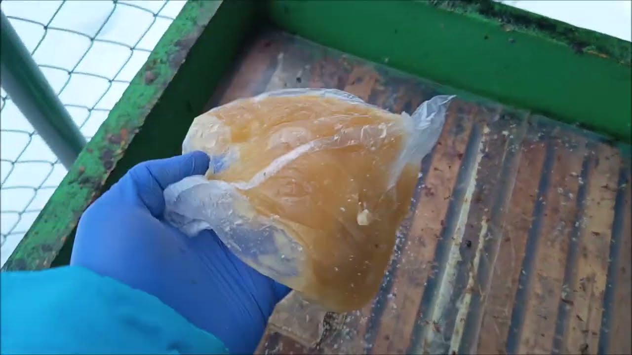 Přikrmuji slabé včely medem ve včelím úle přímo nad sedící zimní chomáš včel.