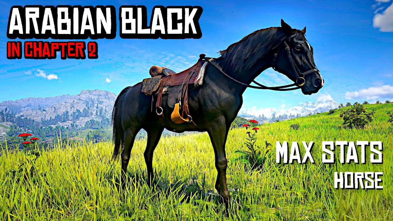 RDR2 - Get this Highest Stat Horse Black Arabian in Early Chapter 2 for Free!