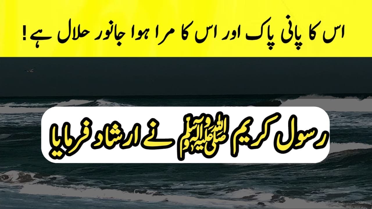 Its water is clean, and its dead animals are allowed! | FARMAN E MUSTAFAﷺ|