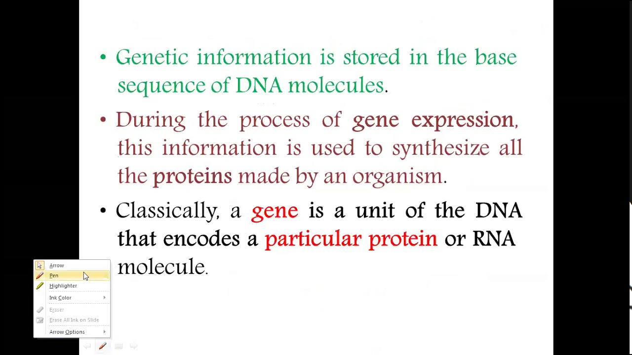 BUC | MOL 7 (Transcription 1)