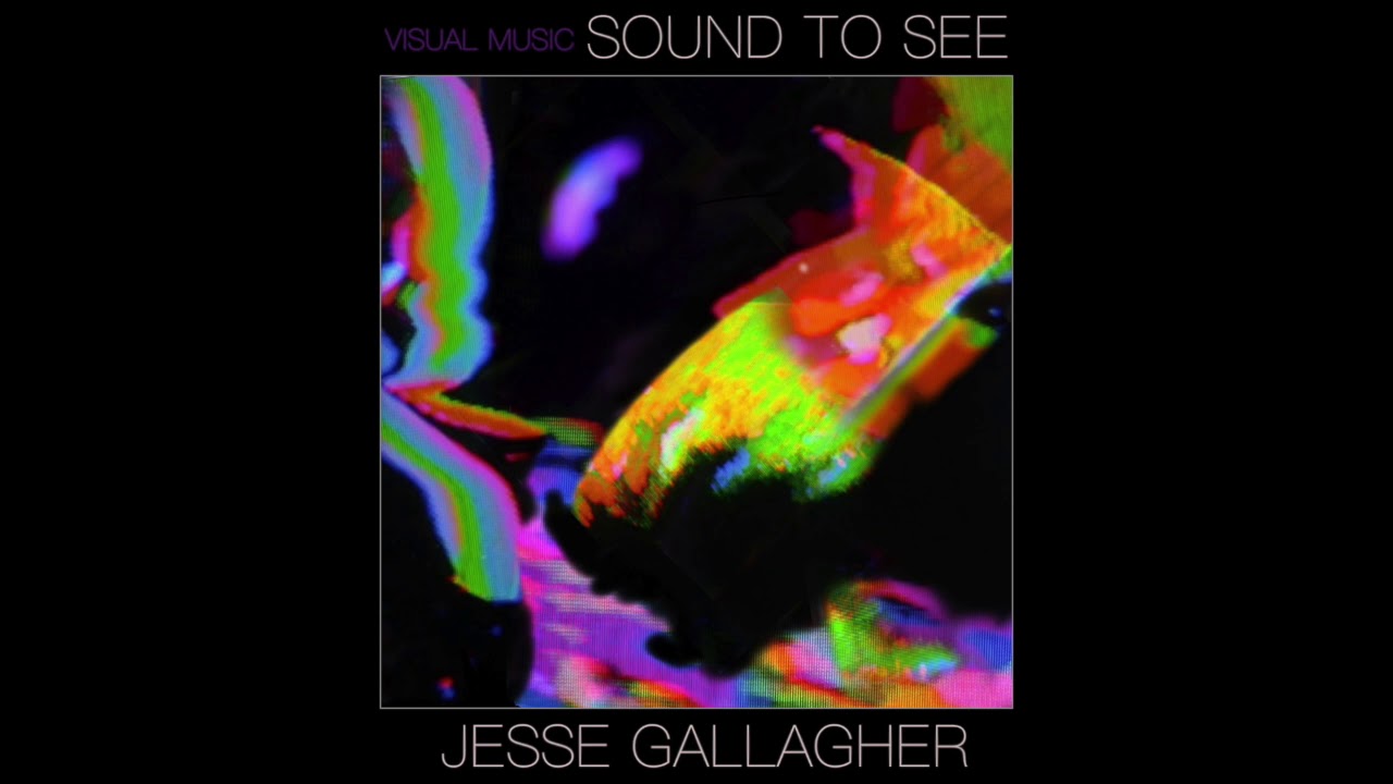 ALLEGATIONS OF INVESTIGATIONS ~ JESSE GALLAGHER