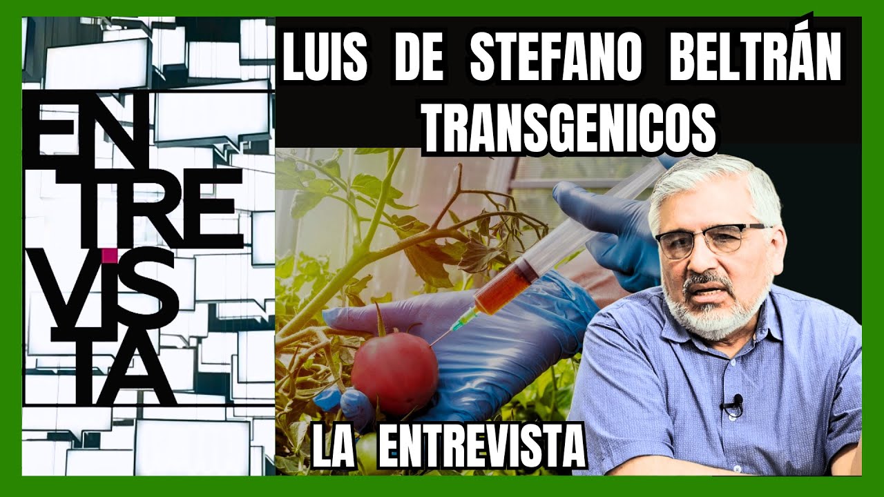 CULTIVOS TRANSGENICOS, Luis De Stefano Beltrán entrevista [MR. DOCUMENTALES] #transgenicos #cultivos