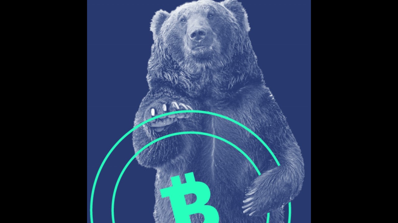 What Does Crypto VC Funding Look Like In A Bear Market?