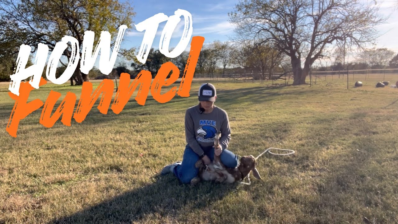 HOW TO FUNNEL